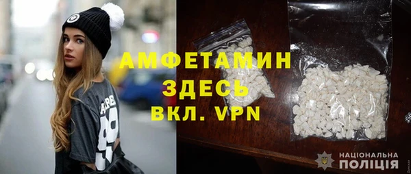 прущие грибы Балабаново
