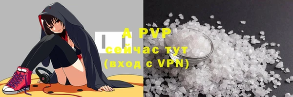 прущие грибы Балабаново