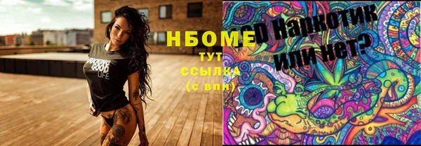 прущие грибы Балабаново