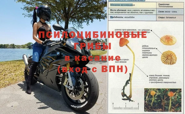 мет Баксан