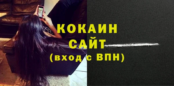 прущие грибы Балабаново