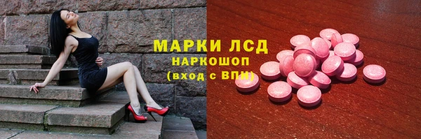 прущие грибы Балабаново