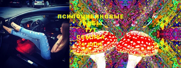 мет Баксан