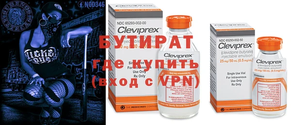 прущие грибы Балабаново