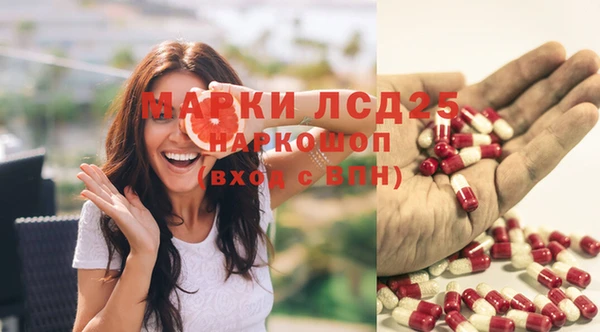 прущие грибы Балабаново