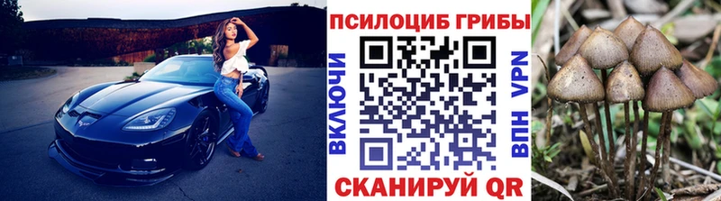 kraken как зайти  Козловка  Псилоцибиновые грибы GOLDEN TEACHER 